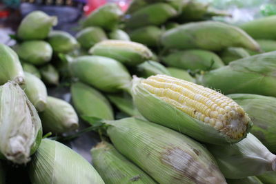 Close-up of corns at market for sale