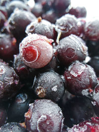 Full frame shot of berries