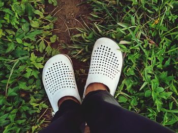 Low section of woman standing on field
