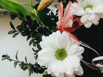 Close-up of white flowers