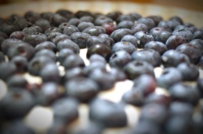 Close-up of coffee beans