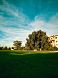 Trees and plants on field against sky