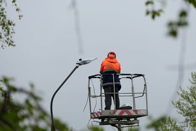 Low angle view of bird perching on plant against sky