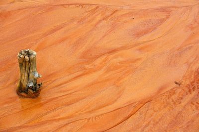 High angle view of sand 