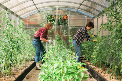 Rear view of woman standing amidst plants