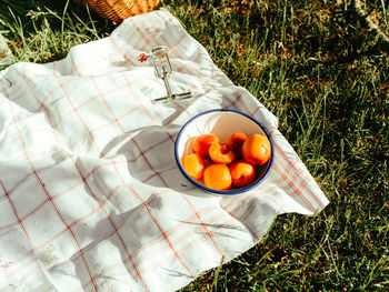 High angle view of orange fruit on field