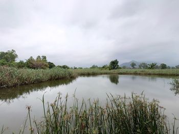 Scenic view of lake against sky