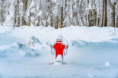 Fire hydrant in snow against winter forest