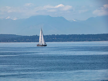 Sailboat sailing on sea against sky