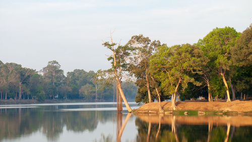 Scenic view of lake by trees against sky