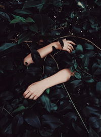 High angle view of woman lying on leaves