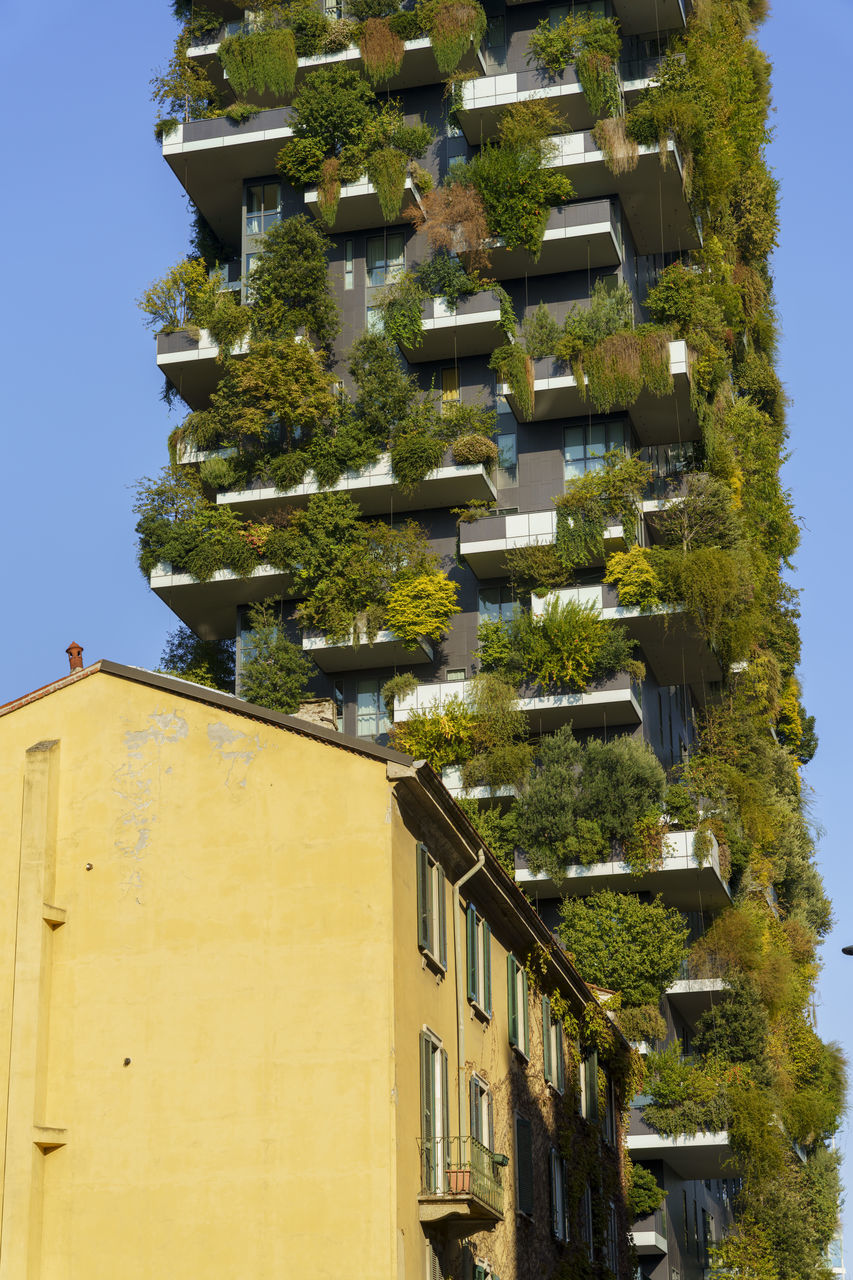 LOW ANGLE VIEW OF TREES AND BUILDINGS AGAINST SKY