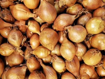 Full frame shot of onions for sale at market