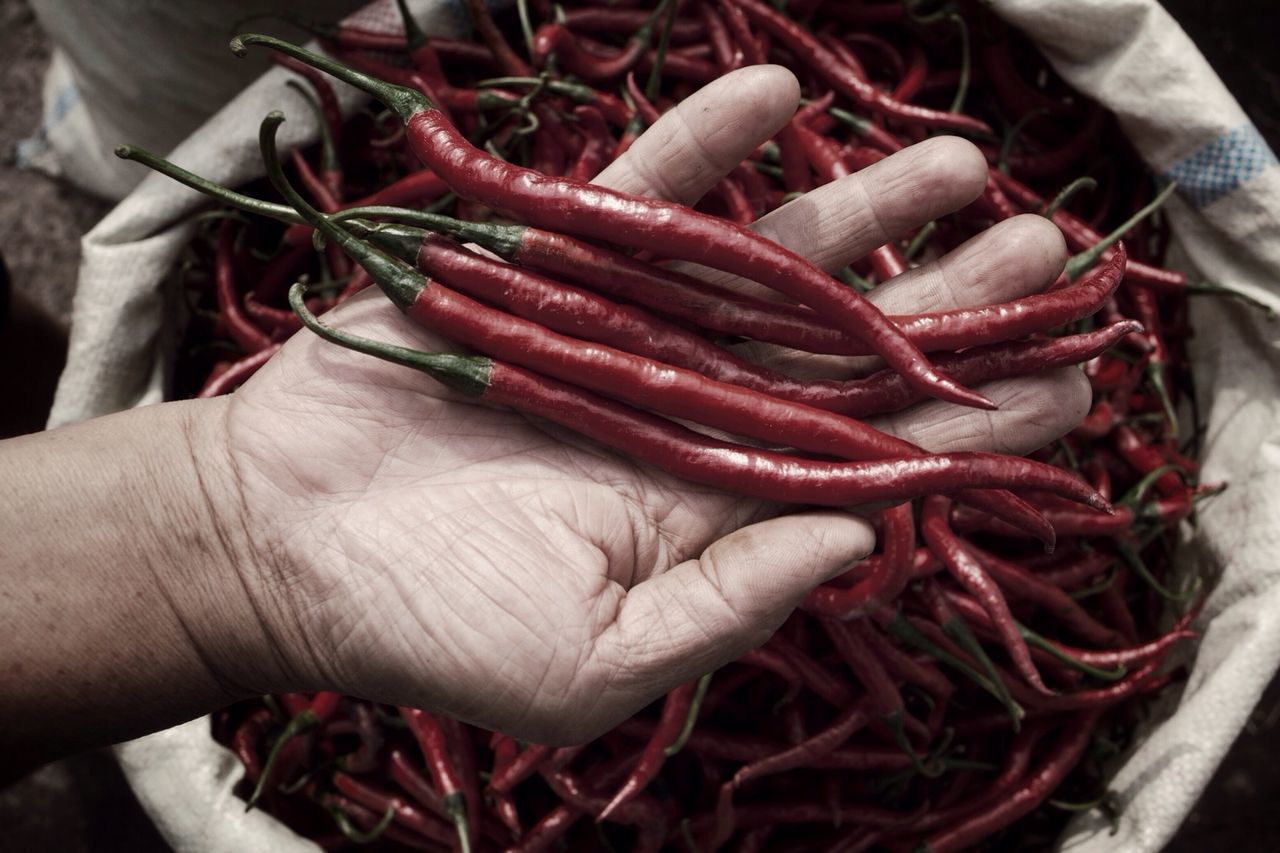 person, part of, holding, cropped, freshness, food, food and drink, red, close-up, unrecognizable person, human finger, healthy eating, high angle view, men, lifestyles, outdoors, day