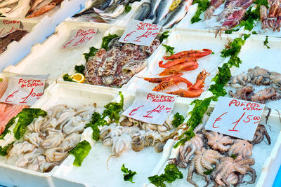 Fresh seafood for sale at a market in naples, italy