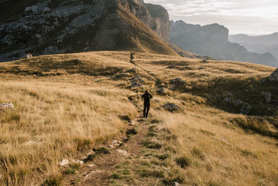 Rear view of man walking on dirt road