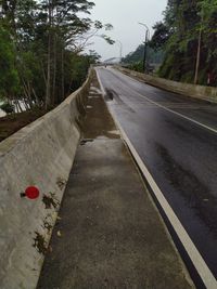 Empty road along trees and plants in city