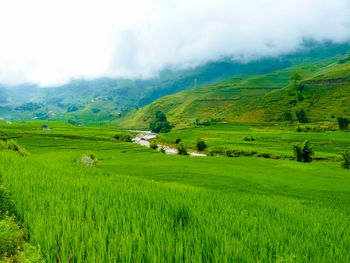 Scenic view of farm against sky