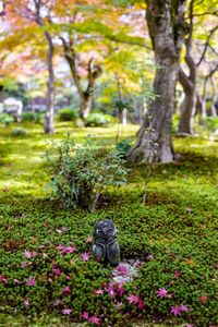 View of statue in park