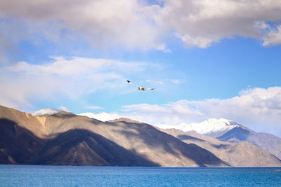 Bird flying over sea and mountains against sky