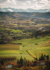 Scenic view of agricultural field against sky