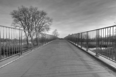 Narrow footbridge along bare trees and plants against sky