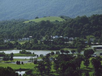 High angle view of trees by lake