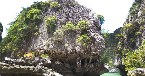 Trees on rock formation against sky