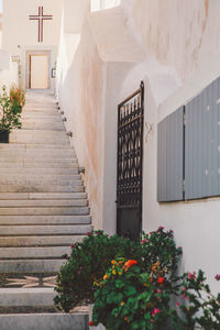 Potted plants by steps leading towards house