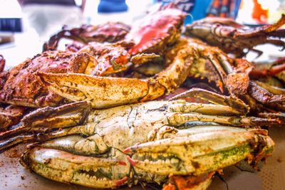 Close-up of seafood in market