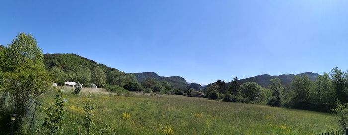 Scenic view of field against clear sky