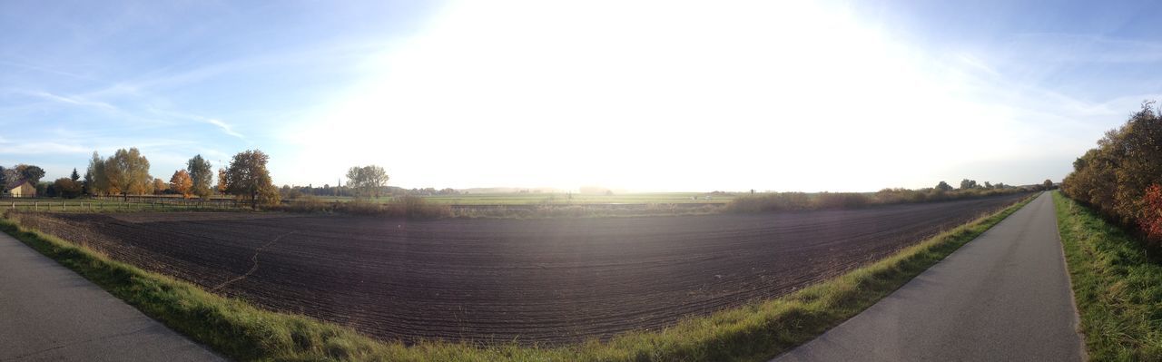 sky, the way forward, tranquil scene, tranquility, landscape, sunlight, scenics, sun, field, nature, diminishing perspective, rural scene, beauty in nature, road, sunbeam, grass, dirt road, vanishing point, panoramic, tree