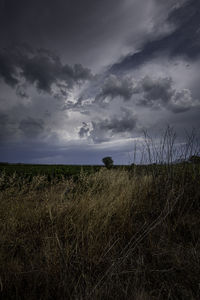 Scenic view of field against sky at dusk