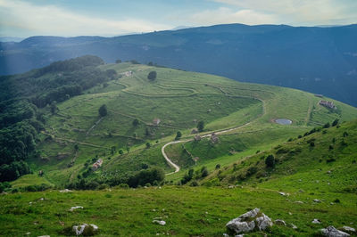 Summer view of the lessinia regional natural park, with meadows and maghe