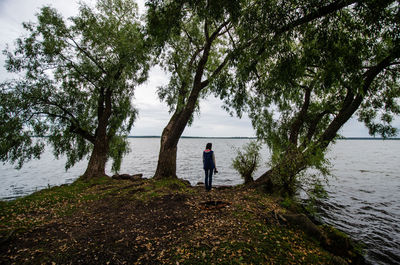 Rear view of woman looking at lake