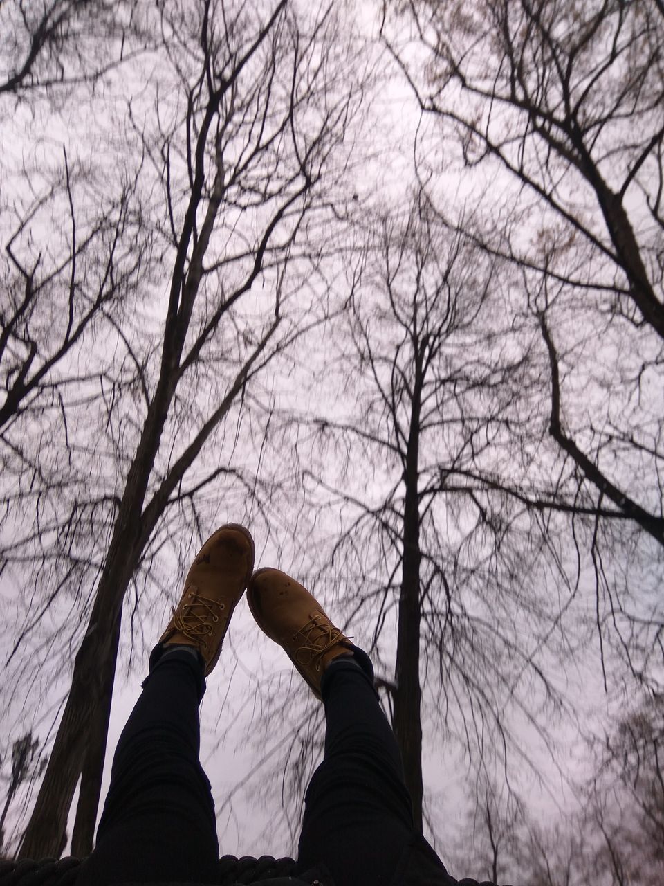 LOW SECTION OF WOMAN WITH BARE TREES