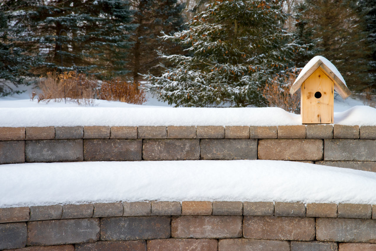 Winter bird houses