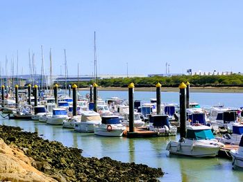 Boats moored at harbor against clear sky