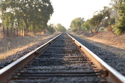 Railroad track amidst trees against sky