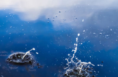 Full frame shot of jellyfish swimming in sea