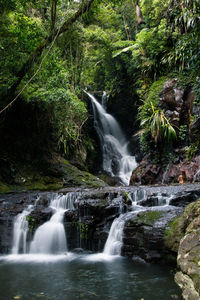 View of waterfall in forest