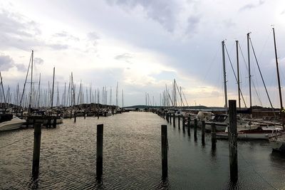 Sailboats moored at harbor against sky