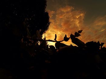 Low angle view of silhouette trees against sky at sunset