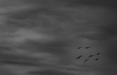 Low angle view of cloudy sky