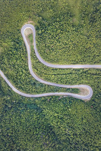 High angle view of snake on road