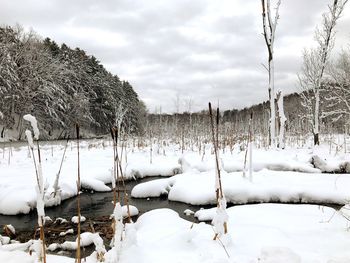 Snow covered field against sky
