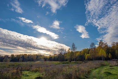 A solar disk behind a big cloud and an autumn forest with yellow trees, russia.