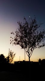 Silhouette tree against clear sky