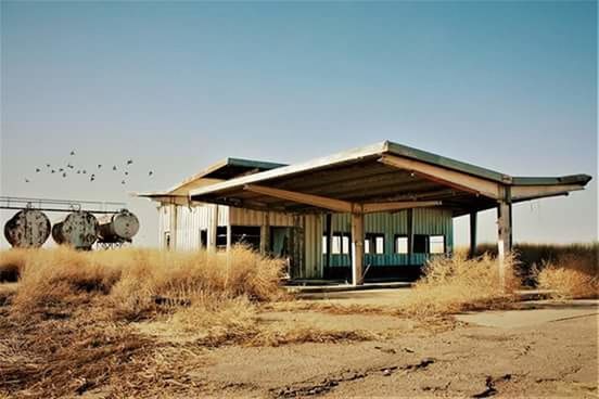 BIRD FLYING IN FRONT OF BUILT STRUCTURE