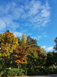 Low angle view of trees against sky during autumn